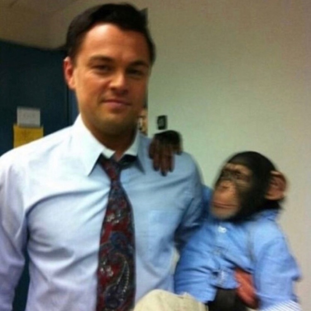 Meet your Posher, Kenai